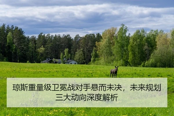 qiong-si-zhong-liang-ji-wei-mian-zhan-dui-shou-xuan-er-wei-jue-wei-lai-gui-hua-san-da-dong-xiang-shen-du-jie-xi-2-386.jpg