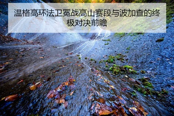 wen-ge-gao-huan-fa-wei-mian-zhan-gao-shan-sai-duan-yu-bo-jia-cha-de-zhong-ji-dui-jue-qian-zhan-2-250.jpg