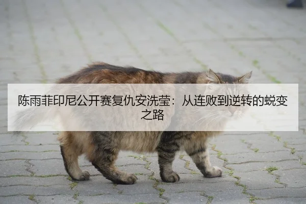 陈雨菲印尼公开赛复仇安洗莹：从连败到逆转的蜕变之路